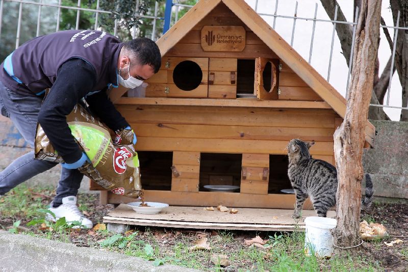 Ümraniye Belediyesi’nden Minik Dostlarımız İçin Kış Seferberliği