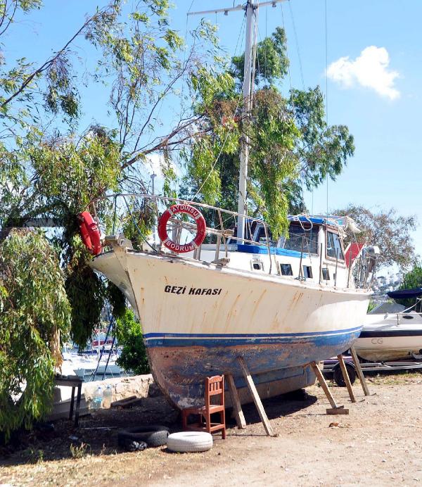 ddded8531fc7b14e9002acd8ce059782