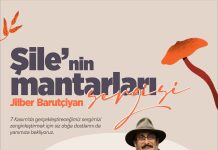 Doğa Dostları Dikkat! 7 Kasım’da Atatürk Meydanı’nda Sergi ve Çevre Temizliği Buluşması