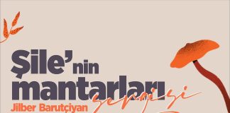 Doğa Dostları Dikkat! 7 Kasım’da Atatürk Meydanı’nda Sergi ve Çevre Temizliği Buluşması