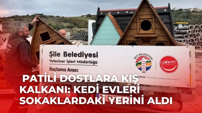 Adsız tasarım (77)