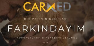 “Bir Patinin Nesi Var?”: 32 Sanatçı Sokak Hayvanları İçin Tek Ses Oldu